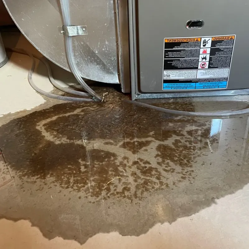 Pipe Burst and Leak Restoration in Hamtramck, MI