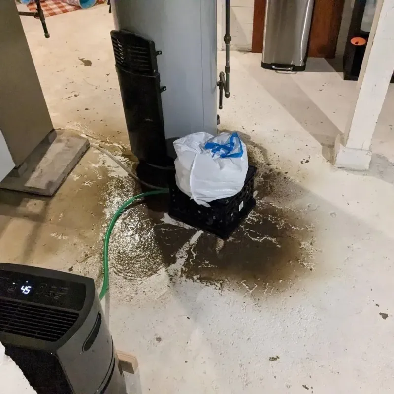 Sewage Backup Cleanup Service in Hamtramck, MI
